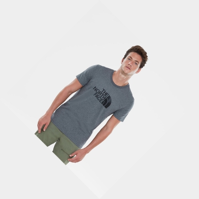Men's The North Face Easy T Shirts Grey | US201PVYQ
