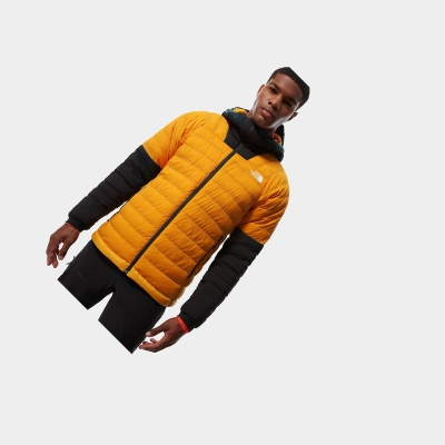 Men's The North Face Summit Series™ L3 50/50 Hooded Down Jackets Gold Black | US476MULK