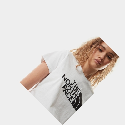 Women's The North Face Easy T Shirts White | US841DWLY
