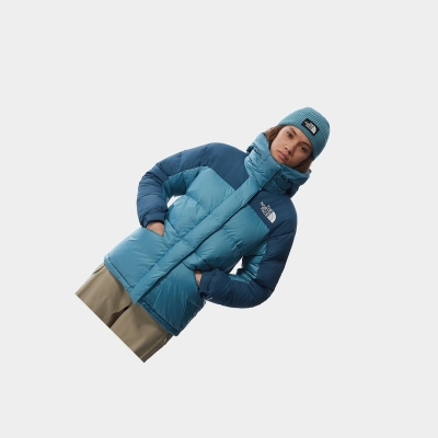 Women's The North Face Himalayan Down Jackets Blue | US875ECUF