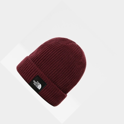 Women's The North Face Metro Ex Beanies Red | US761RNEP
