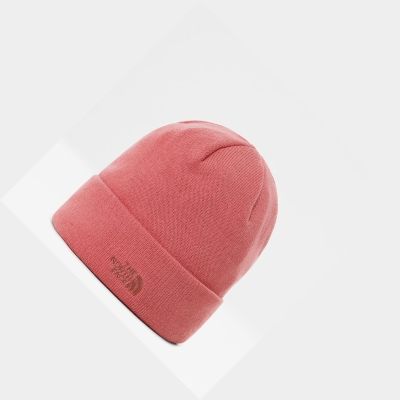 Women's The North Face Norm Shallow Beanies Rose | US068NYAD