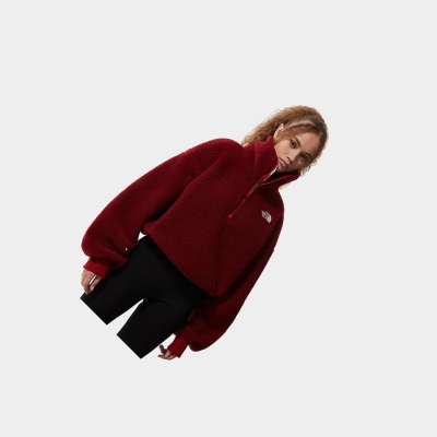Women's The North Face PRINTED PLATTE SHERPA FLEECE Sweatshirt Red | US783QHXY