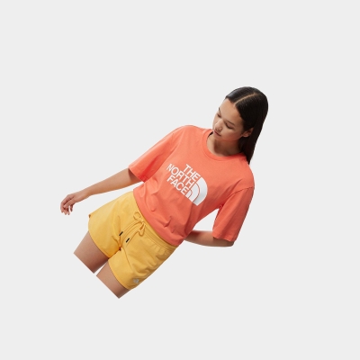 Women's The North Face Relaxed Summer T Shirts Orange | US096IFLH
